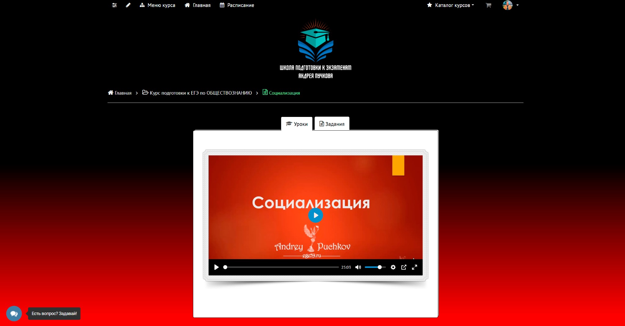 Видеоурок по теме «Социализация»