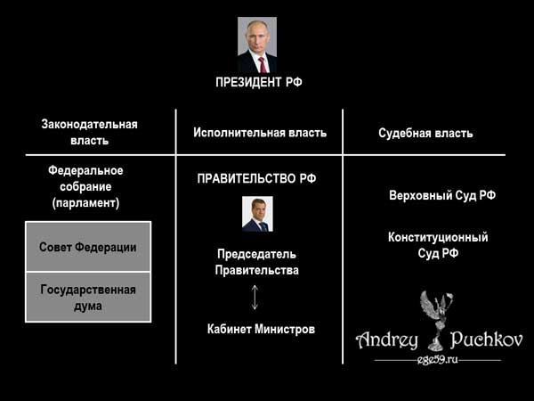 Органы власти в Российской Федерации: понятие, структура