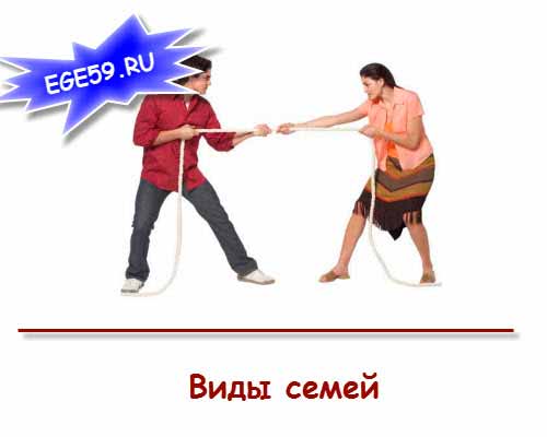 Виды семей